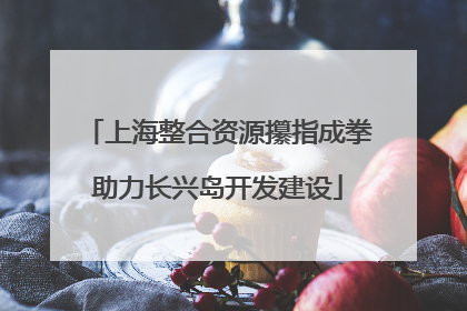 上海整合资源攥指成拳助力长兴岛开发建设